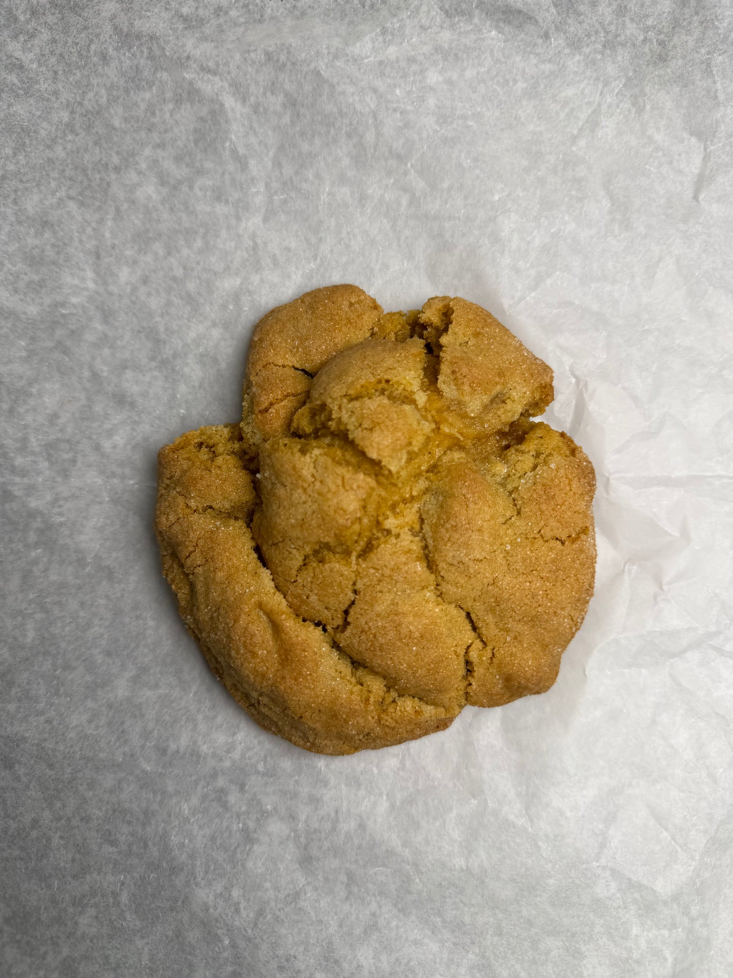Pumpkin Sugar Cookie